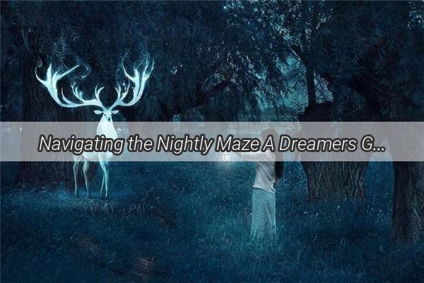 Navigating the Nightly Maze A Dreamers Guide to Finding the Hidden Bathroom in a Ladys Dreams